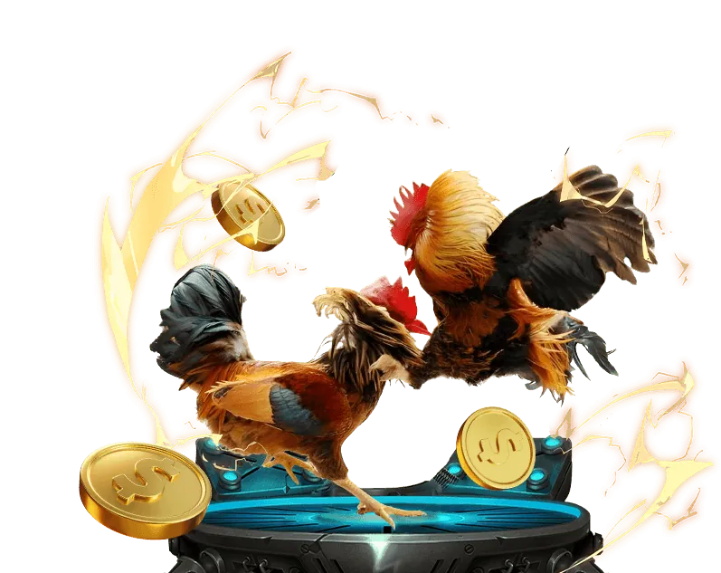 Các loại Cookie khác nhau được BK8 Max sử dụng